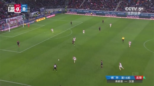 [德甲]第16轮：弗赖堡VS汉堡
