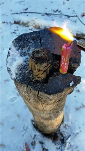 Color Thunder Black Edition #fireworks #pyrotechnica #pyro