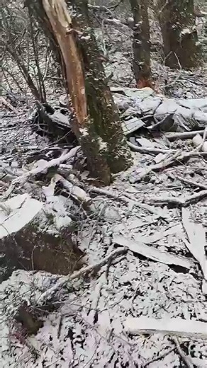 @War_Radar2 Putin doesn't have the soldiers to hold the Zaporozhye Front, and you're talking about some kind of invasion.The Russians don't have tanks or armored vehicles.Are they going to ride donkeys and horses to Narva?Sleep peacefully while we're at war.