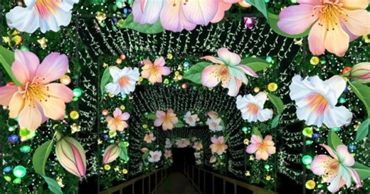 Need last-minute Spring Break ideas? Check out these activities from the WMTA