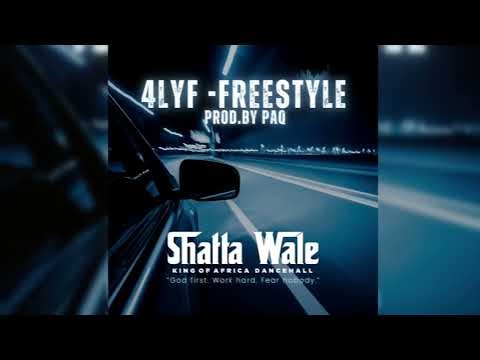 Shatta Wale - 4lYF - Freestyle (Audio Slide)