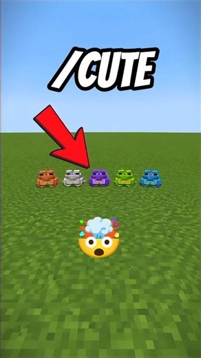 Crazy Commands In Minecraft...