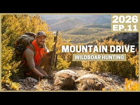 100 Hunters vs. Wild Boars: The Truth About Driven Hunts
