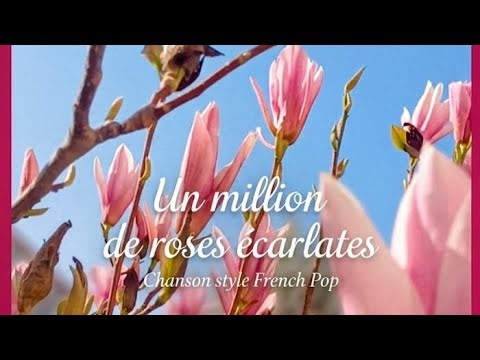 Un million de roses écarlates. #likeforlikes 