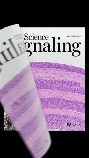See what's new from the Science family of journals