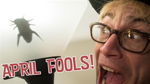 Easy April Fools magic pranks that will destroy your friends