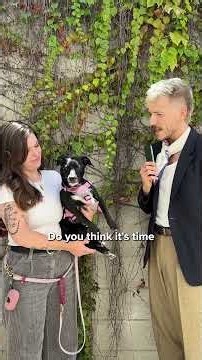 What do the office dogs have to say about these pressing issues?