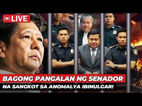 🔴 Philippines Senate Live: Mastermind Unmasked as Unexpected Twist Blows Up Hearing | Jevara PH
