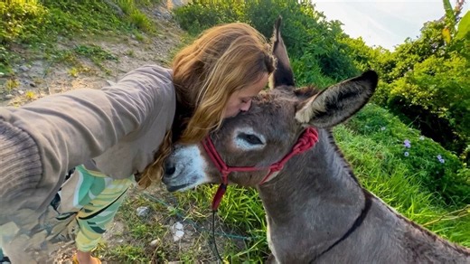 Donkey was tied to a tree every day - until one woman couldn’t walk away