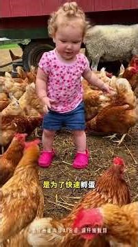 The Shocking Truth: Why Chickens Grow Teeth and Die