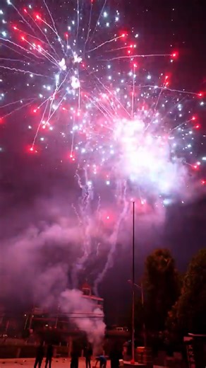 208 Shots THE STAR OCEAN Fireworks Cake #fireworks #fireworksdisplay #pyrography #4thofJuly #pyro #fireworkshow | Firework Cloud