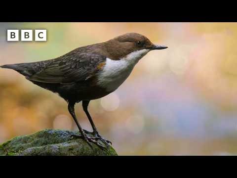 This story is about to take an unexpected turn... - BBC