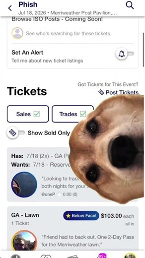 Me looking at Phish tickets on CashorTrade...