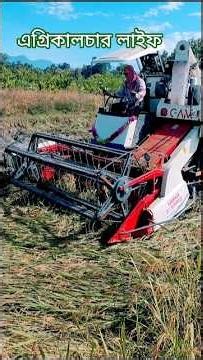 Untitled"Harvesting paddy with an Autoland combine harvester#agriculturalcom #harvesting #combine