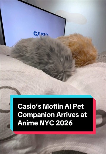 Last year we were introduced to Casio’s AI pet companion, Moflin. This year the company builds a presence at Anime NYC 2026 and hints at the possible US release of a sakura pink after its Japan release earlier this year. Made possible by @RØDE #allccess#allaccessai #toys #animenyc