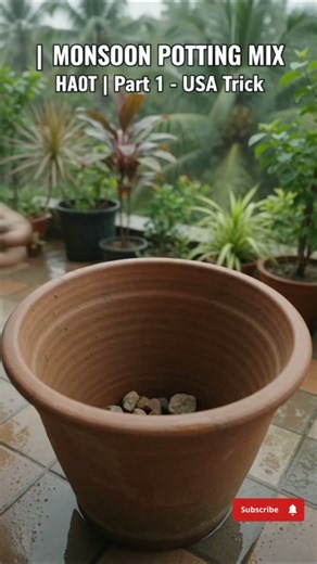 USA Monsoon Potting Mix | Stop Root Rot in Rain | USDA Zone 5-10 Gardening 2026