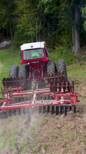 How to Plant Warm Season Food Plots