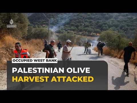 Rampant settler attacks: Surge in violence across occupied West Bank