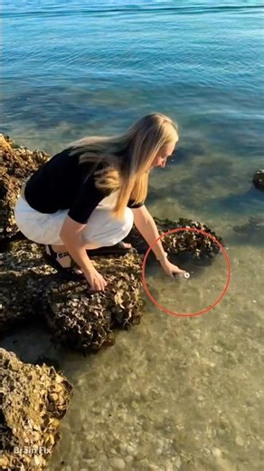 Amazing Desi Salt! Satisfying Job 🧂