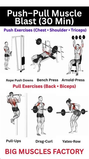 Push Pull Workout | Push Pull Legs Workout | Chest+Shoulder+ Triceps | Back & Biceps | #shorts