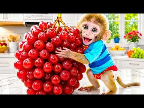 Monkey Baby Bon Bon Eats Giant Sweet Red Grapes! | Nursery Rhymes & Kids Songs |Bobby Kids Songs