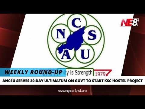 Weekly News Round-Up (NE8): May 31, 2026