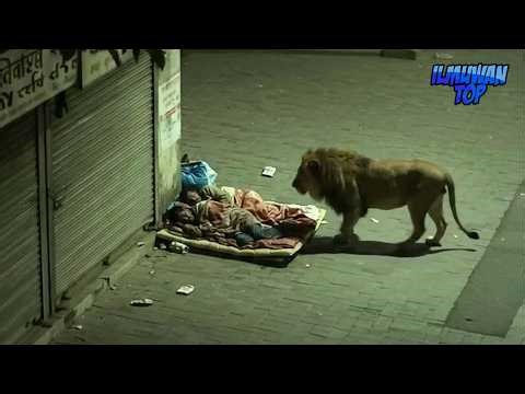 Strange Events Accidentally Caught on Camera! These Rare Moments Can't Be Explained Logically