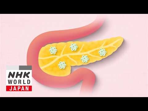 GLP-1 Drugs for Obesity: Benefits and Risks - Medical Frontiers