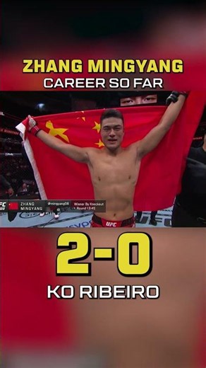 Zhang Mingyang Career So Far
