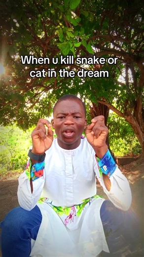 Understanding the Spiritual Meaning of Killing a Snake or Cat in Dreams