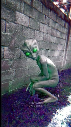 The Varginha Alien Encounter 👽🇧🇷 | 1996 Found Footage