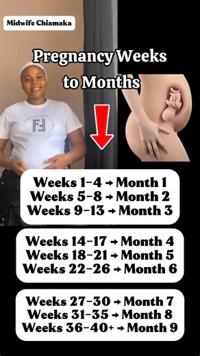 Pregnancy Weeks vs Months Explained Simply Pregnancy is officially counted in weeks, not months. 40 weeks in total. Every 4 weeks is roughly 1 month. Your due date is an estimate, not a promise. Babies decide their own birthday. Midwife Chiamaka #pregnancy #pregnancyjourney #MidwifeChiamaka #pregnancytips #pregnant | Midwife Chiamaka