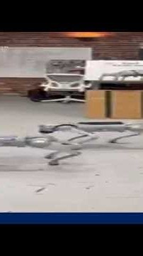 Tech companies hire dog walkers to help train AI-powered robot dogs