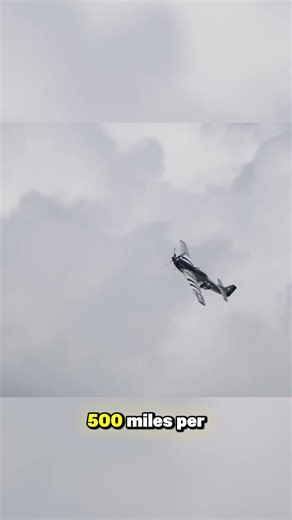 The U S Military’s Billion-Dollar Enemy Is a Bird