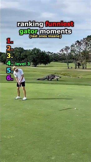 ranking funniest gator moments #usa