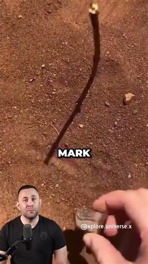 How To Find North Without A Compass 🧭