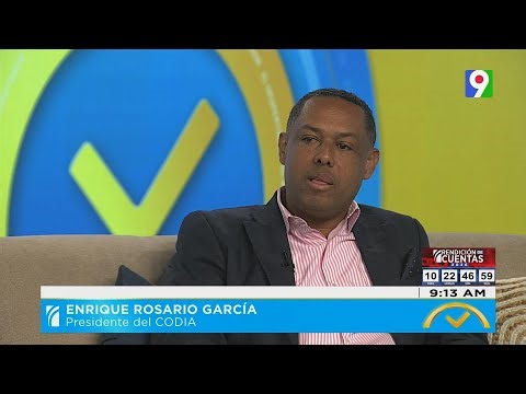 ¿Por qué el CODIA se retira del peritaje al Línea 2C del metro SD?, Enrique Rosario responde | El De