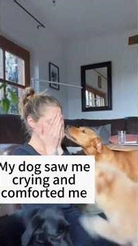 Your Dog Can Smell When You’re Sad 😳🐕