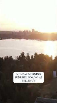 Bellevue skyline shines in drone view from Mercer Island