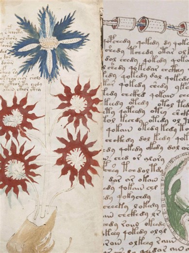 The Voynich Manuscript is a mysterious, illustrated medieval book (15th century) written in an unknown script, filled with strange drawings of plants, celestial bodies, and naked women, resisting all attempts at decipherment.