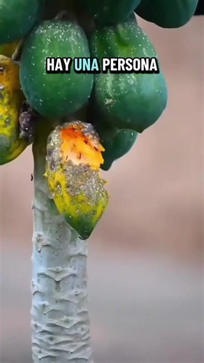 #paratiiiiiiiiiiiiiiiiiiiiiiiiiiiiiii #tarot #naturaleza #tarothoy #lecturadecartas