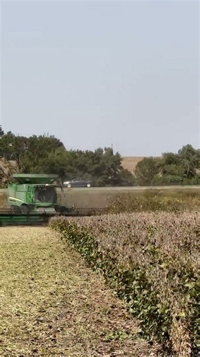 Beating the impossible on the farm