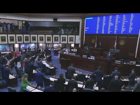 Florida's new congressional map being discussed by lawmakers during special session in Tallahassee
