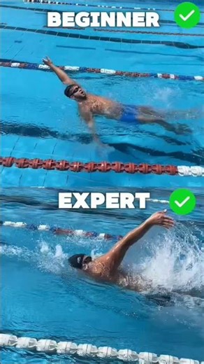 From Beginner to Expert Backstroke