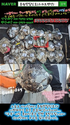 10월10일 홍원항힐링호 쭈반갑반^^ 조황~!쭈갑애들 괜찮네요ㅎㅎ어제보다 좀더 잡았네요~장원8.4kg오바~ 2등7.8kg 나머지분들도 조과가 비슷비슷하네요.수고들 많으셨습니다~ㅎㅎ