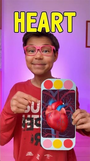 What’s Inside the Human Body? 🧠🫀 Fun Kids Learning Video!