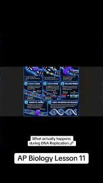 What actually happens during DNA Replication 🧬 (AP Biology Lesson 11) #fyp #biology #apbiology