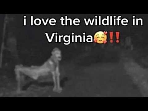 Funny Cryptids Memes