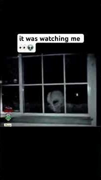 Real Alien Caught Peeking Into House at Night? Creepy Footage Explained!