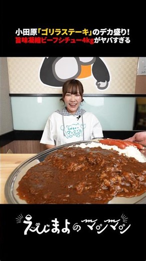 【大食い】旨みが詰まりすぎ！ステーキ屋さんの巨大ビーフシチューライス4kg！【海老原まよい】